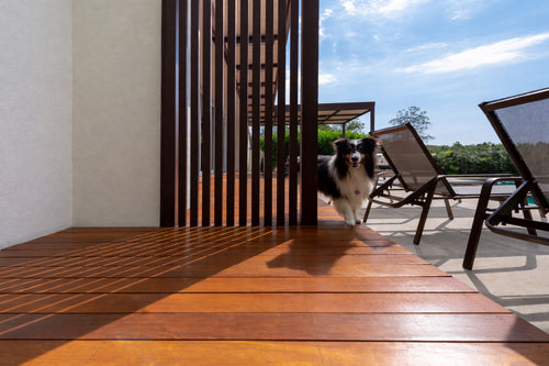 Brazilian Ipe Hardwood Decking - 1x6 S4S (15 sq ft Bundle)